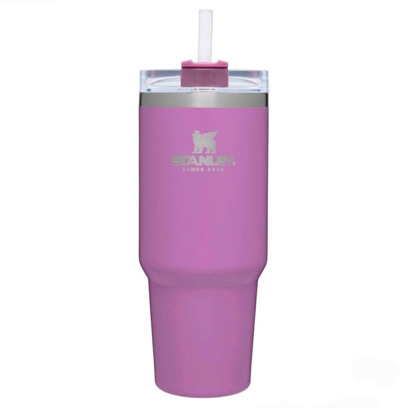 Stanley Other - Stanley- Adventure Quencher Travel Tumbler 30oz(Purple Glare)